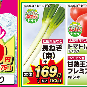 ながねぎ