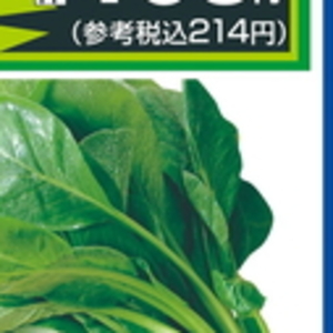 こまつ菜