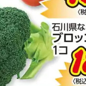 ブロッコリー
