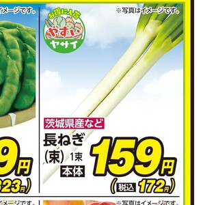 ながねぎ