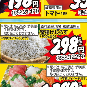 しらす