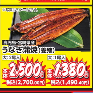 うなぎの蒲焼き