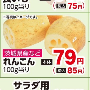 レンコン