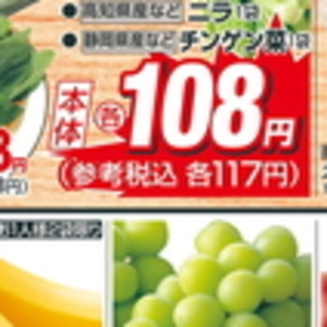 ちんげん菜