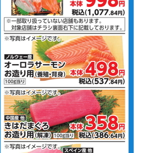 サーモン（刺身）