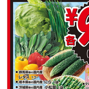 こまつ菜