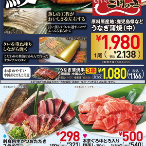 うなぎの蒲焼き