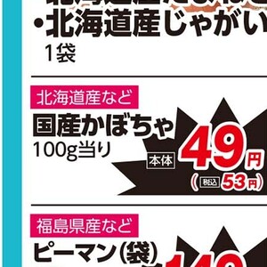 かぼちゃ