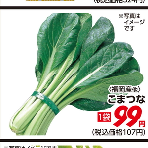 こまつ菜
