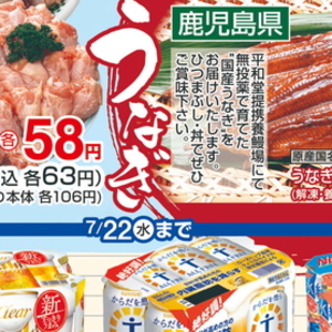 鶏手羽元