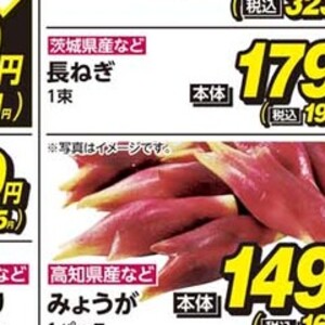 きゅうり