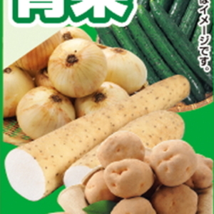 ながいも