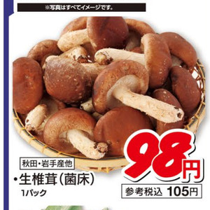しいたけ