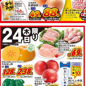 鶏ササミ