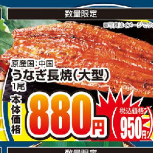 うなぎの蒲焼き