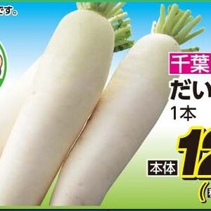 だいこん