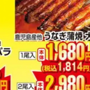 うなぎの蒲焼き