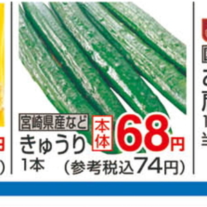 きゅうり