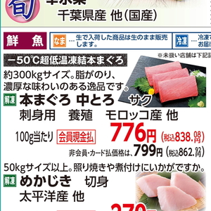 まぐろ中とろ
