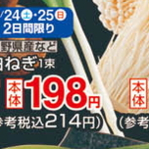 ながねぎ
