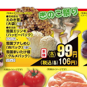 えのき茸