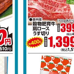 うなぎの蒲焼き