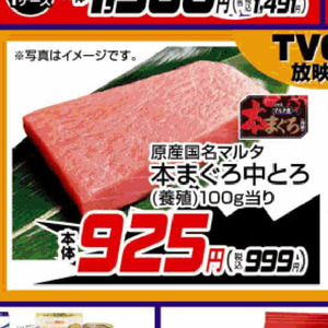まぐろ中とろ