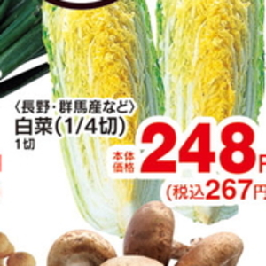 はくさい