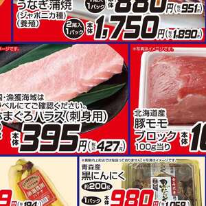 まぐろ（刺身）
