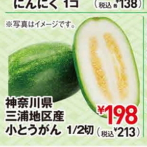 冬瓜
