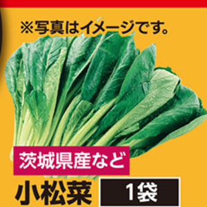 こまつ菜