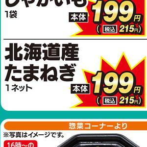たまねぎ