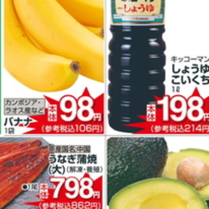 うなぎの蒲焼き