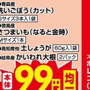 カイワレ大根