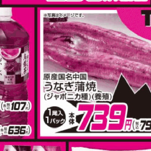 うなぎの蒲焼き