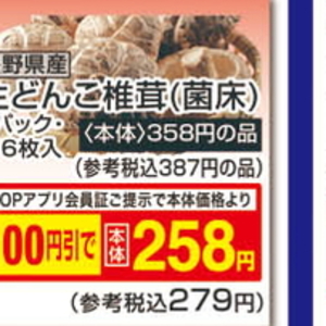 しいたけ