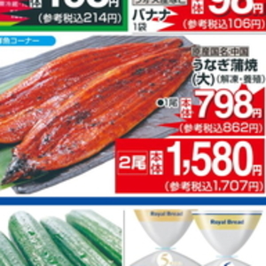 うなぎの蒲焼き