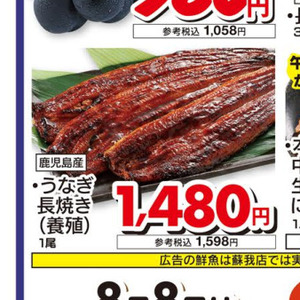 うなぎの蒲焼き
