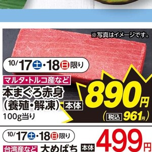 まぐろ赤身