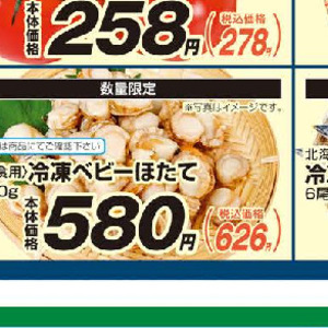 ほたて（ベビー）