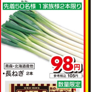 ながねぎ