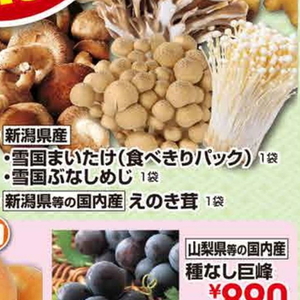 まいたけ