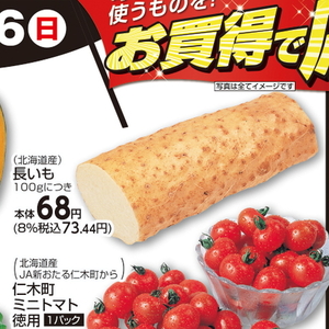 ながいも