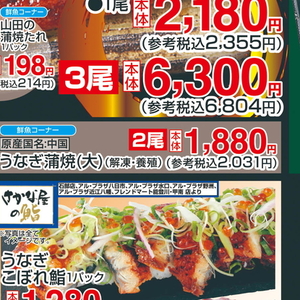 うなぎの蒲焼き