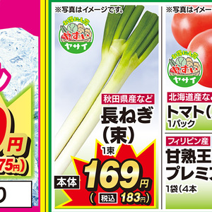 ながねぎ