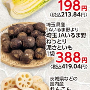 やまいも