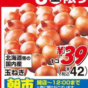 たまねぎ