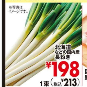 ながねぎ