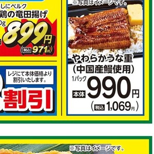 うなぎの蒲焼き