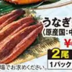 うなぎの蒲焼き